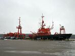LNF SAR Sakiai.jpg