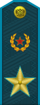 Russia-AirForce-OF-9-1994-field.svg