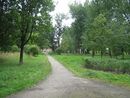 Sady & Parky Sankt-Peterburg 2010 054.jpg