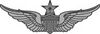 Senior Army Aviator.jpg