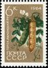 The Soviet Union 1964 CPA 3066 stamp (Agricultural Crops of the USSR. Pea or field pea 'ramonsky 77' (Pisum sativum sativum)).jpg