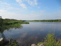 Лахтинский разлив.JPG