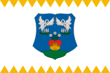 Флаг