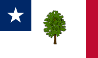 Flag of Mississippi (1861–1865).svg