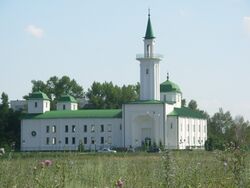 Salavatan pämečet', vn 2011 nägu