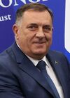 Putin-Dodik meeting (2022-06-18) 3 (cropped).jpg