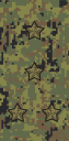 Russia-Army-OF-2-camo (2010).svg