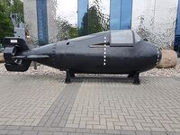 Triton1M Kaliningrad 20190801 1.jpg