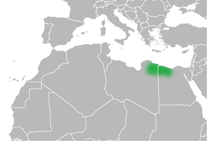 Map of Marmarica.png