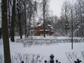 Muziy SPb 2010 3287 1.jpg
