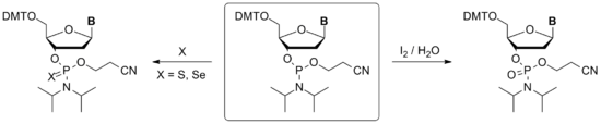 Nucleoside Phosphoramidite Oxidation.png