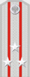 Войсковой старшина (чин).png