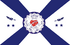 Bandeira-belfordroxo.PNG
