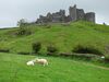 Carreg Cennen m Schafen.jpg