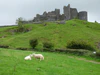 Carreg Cennen m Schafen.jpg