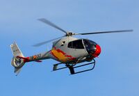 Colibri Patrulla Aspa.jpg