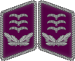 Luftwaffe collar tabs Hauptmann 3D.svg
