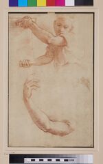 Raphael - after - Recto Studies of a Model posing as an Angel and of an Arm, WA1846.278.jpg