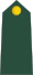00-Slovenian Army-PVT.svg