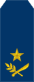 14-Nicaragua Air Force-BG.svg