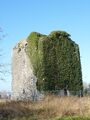 Ballyfinboy Castle (geograph 2331731).jpg