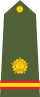 Naib Subedar - Naib Risaldar of the Indian Army.svg