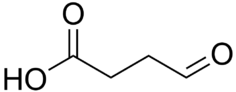 Succinic semialdehyde.png
