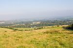 Valley between Brighstone Down and Newbarn Down - geograph.org.uk - 538292.jpg