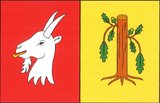 Флаг
