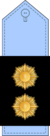 Подполковник