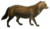 Dogs, jackals, wolves, and foxes (Plate XLIII).png