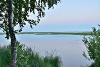 On the shore of the Sestroretsky flood.jpg