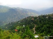 Ali sojal way to toli pir.jpg