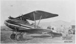 AwmA01394Taube.jpg