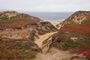 Fort Ord Dunes 2013.JPG
