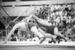 RIAN archive 556230 Olympic champion in classic wrestling, 57kg division, Shamil Serikov and silver medalist of the 1980 Olympiad Jozef Lipien.jpg