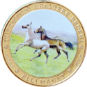 TM-2013-50manat-Horse2-b.png