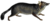 The zoology of the voyage of H.M.S. Beagle Pl. 6 removed background.png