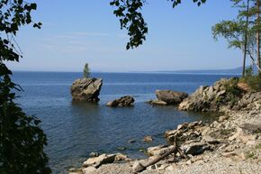 Черепаха-камень.jpg