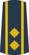 13-Serbian Air Force-LTC.svg
