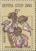1991 CPA 6316.jpg