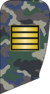 4- IRIADF-Cpl.png