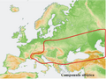 Distribution map Campanula sibirica.png