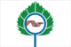Flag of Koltsovo (Novosibirsk oblast).png