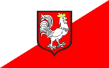 Флаг[d]
