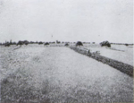 Pissarro - Pissarro and Durand-Ruel Snollaerts, 892.png