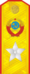 Маршал погоны