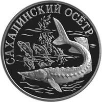 RR5109-0045R Cахалинский осетр.gif