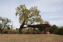 Rath City Texas 2009.JPG