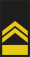 Slovenia-Navy-OR-9a.svg